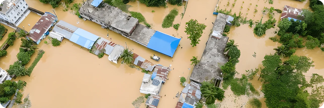 Resilience & Crisis Management - Professional emergency response and crisis management services